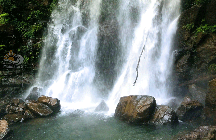 Hanumana Gundi Waterfalls, Kudremukh National Park