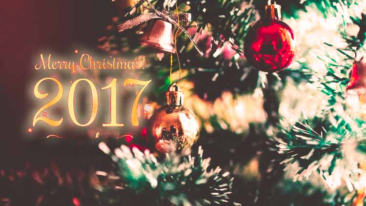 Christmas 2017 – Crib, Decorations, Celebrations, Events & more – Around Mangalore